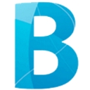 BTI Solutions logo