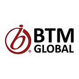 BTM Global Consulting, LLC logo