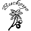 Buckeye Inc logo
