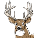 Town of Buck logo