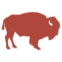 Buck Wild Bison logo