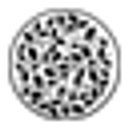 buddhanatural.com logo