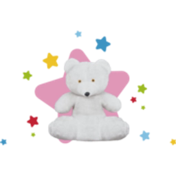 BUDDY BEAR TRUST CONDUCTIVE EDUCATION SCHOOL logo