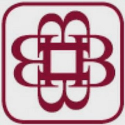 BUDENBERG GAUGE COMPANY LIMITED logo