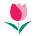 Bud Flowers Ltd logo