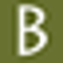 Buds Odyssey Foundation logo