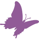 Buena Vista Home Health, Palliative Care & Hospice