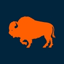 Buffalo Construction, Inc. logo
