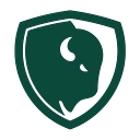 Favicon of Buffalo Inspection Services