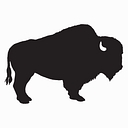 Buffalo Jewelry & Loan logo