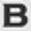 Buffalo Leather logo