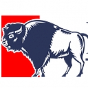 Town of Buffalo logo