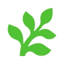 Buildwithfern logo