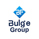 Bulge Group logo