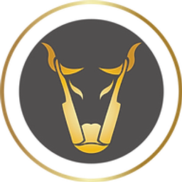 Bull City Durham Beauty and Barber College logo