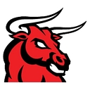 Bull Motor Bodies logo