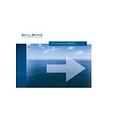 Bullocks Freightmasters International logo