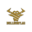 Bullrunflag.com