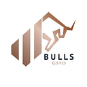 Bulls Girisim Sermayesi Yatirim Ortakligi Anonim Sirketi logo