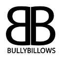 Logo for bullybillows.com
