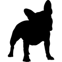 bullyclub.de logo