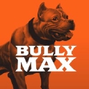 Favicon of Bully Max