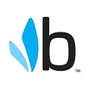 Bumbleride Inc. logo