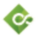 Bureauserv Global Inc. logo