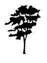 Burgener's Woodworking logo