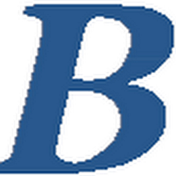 Burgess Civil, LLC logo