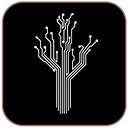Burlywood logo