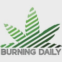 burningdaily.com logo