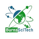 Burns Science And Technology Charter School logo