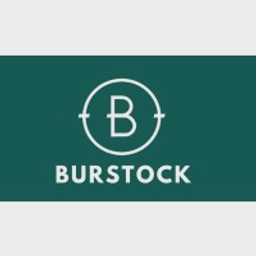 Burstock Ltd logo
