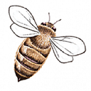 Burt's Bees Baby logo