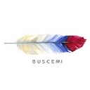 Logo for buscemi.com