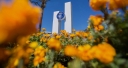Csuf Mihaylo College Of Business And Economics logo