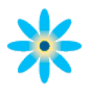 REIDSVILLE AREA FOUNDATION logo