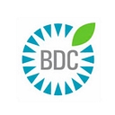 Business Design Corporation logo