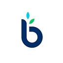 Favicon of BusinessLoans