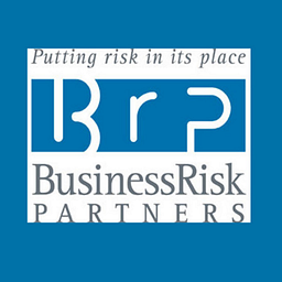 Business Risk Partners logo