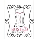 Busted in Detroit logo