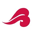 Butcher Distributors, Inc. logo