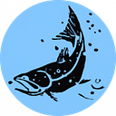 Butte Creek Foundation logo