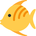 Butterfish logo