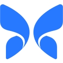 Butterfly Network