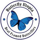 Butterfly Utopia