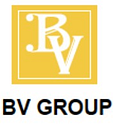 BV Group Ventures, LLC logo