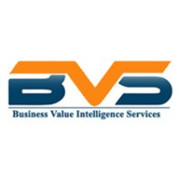 Business Value Intelligence Services Inc logo