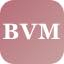 BVM Agency